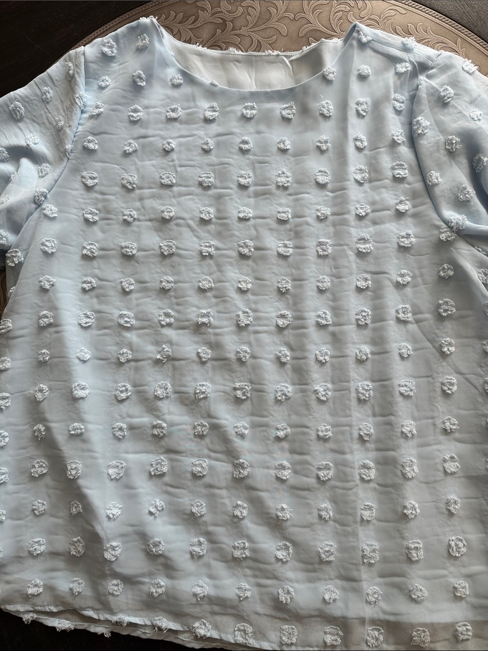 Light Blue Dotted Texture Women's Blouse with built in liner
